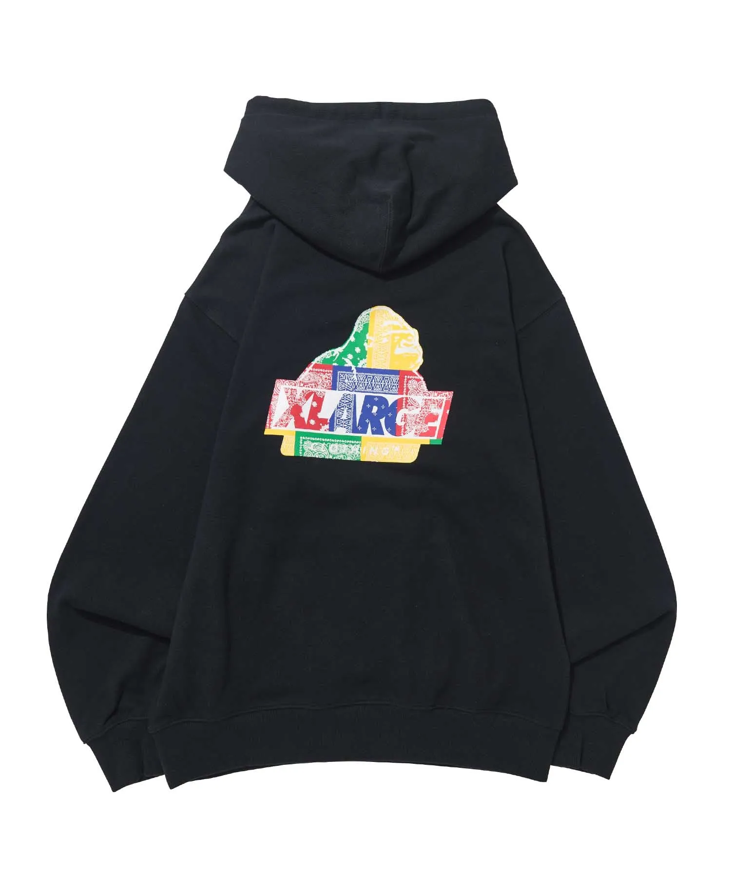 PAISLEY SLANTED OG PULLOVER HOODED SWEAT