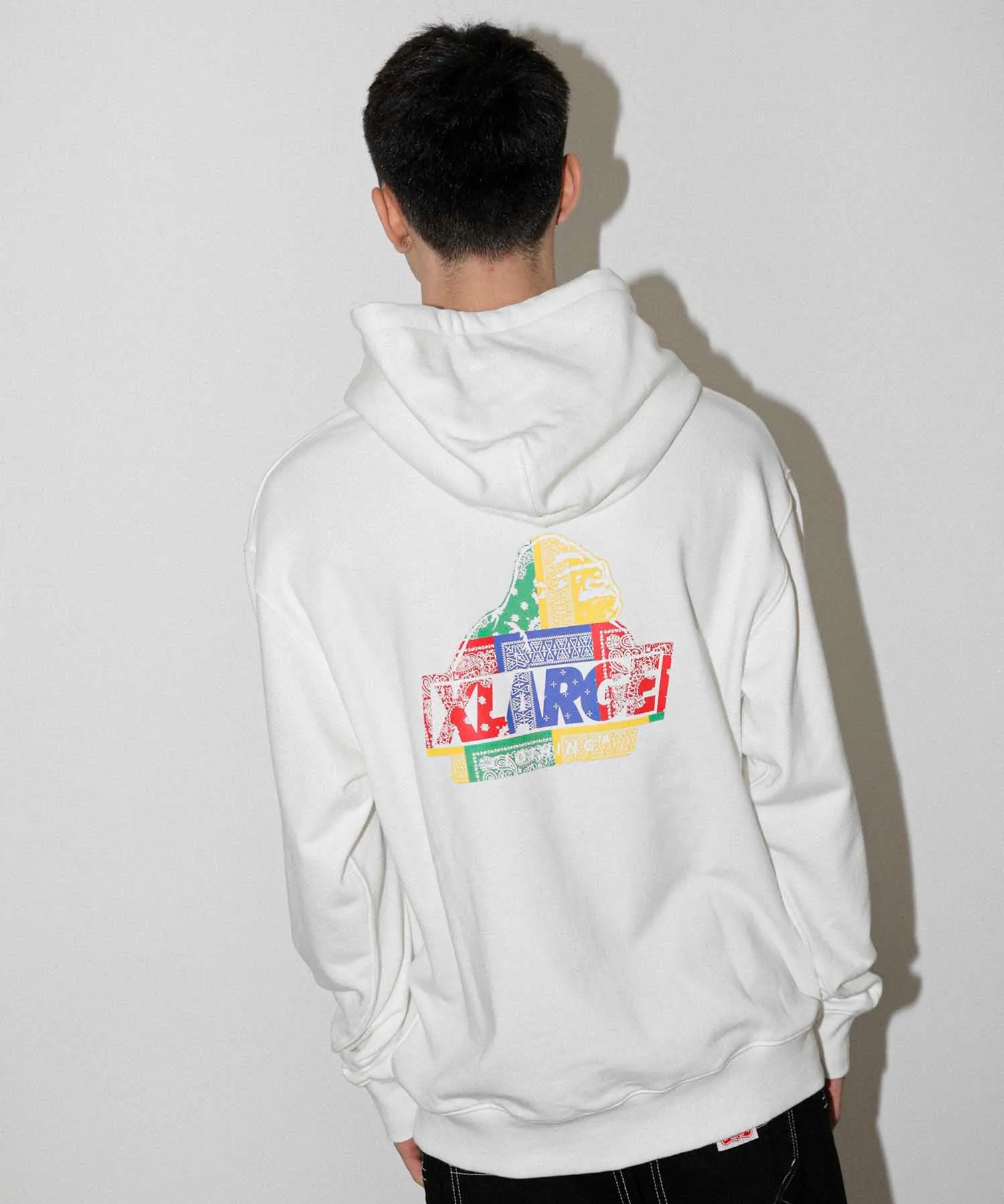 PAISLEY SLANTED OG PULLOVER HOODED SWEAT