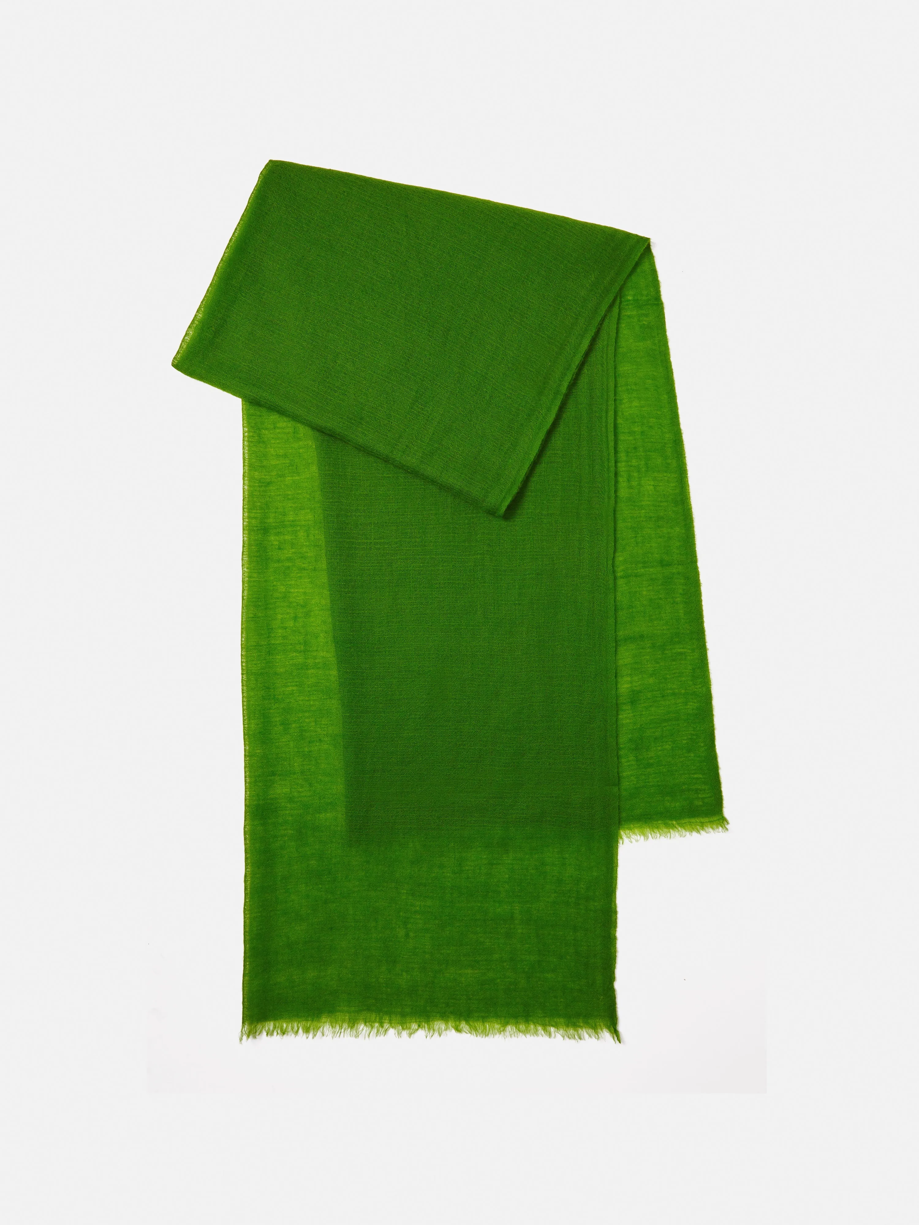 Pure Cashmere Gauze Scarf | Green