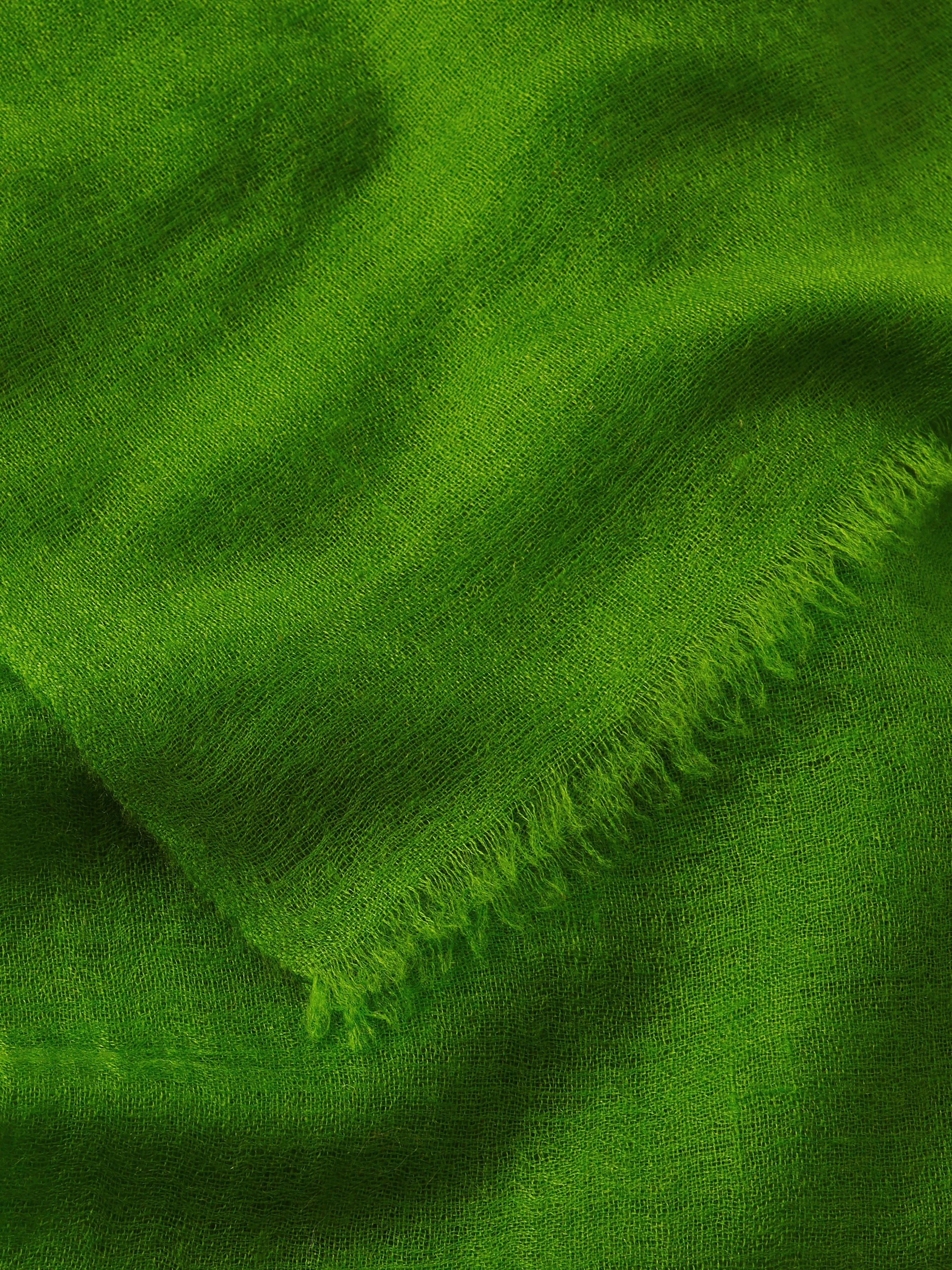 Pure Cashmere Gauze Scarf | Green