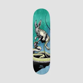 Real Lintell Prey Skateboard Deck - 8.4